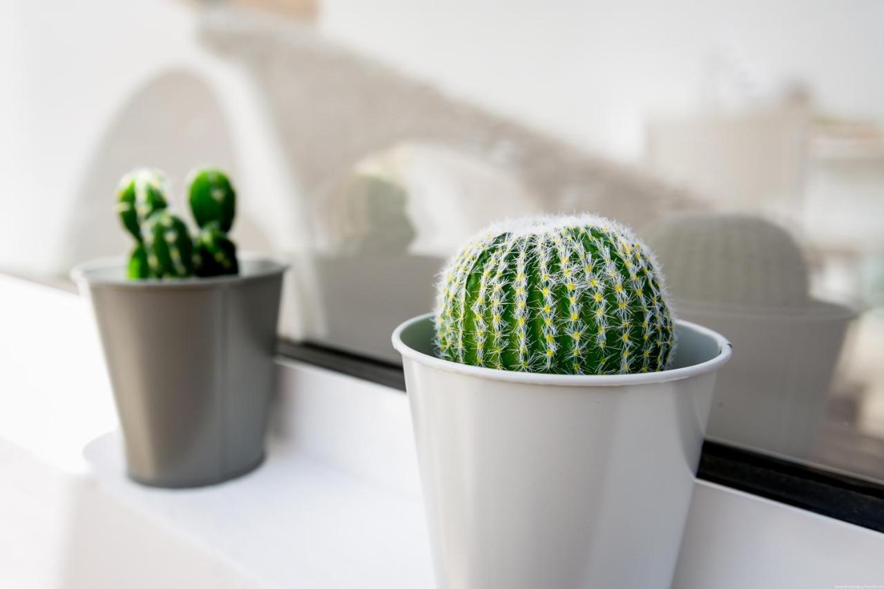 Cactus Apartment San Miguel de Abona Eksteriør billede