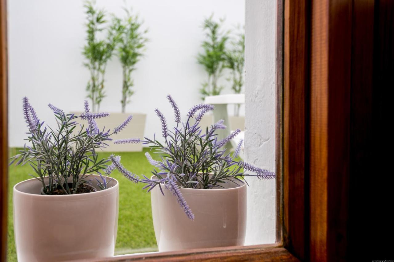 Cactus Apartment San Miguel de Abona Eksteriør billede