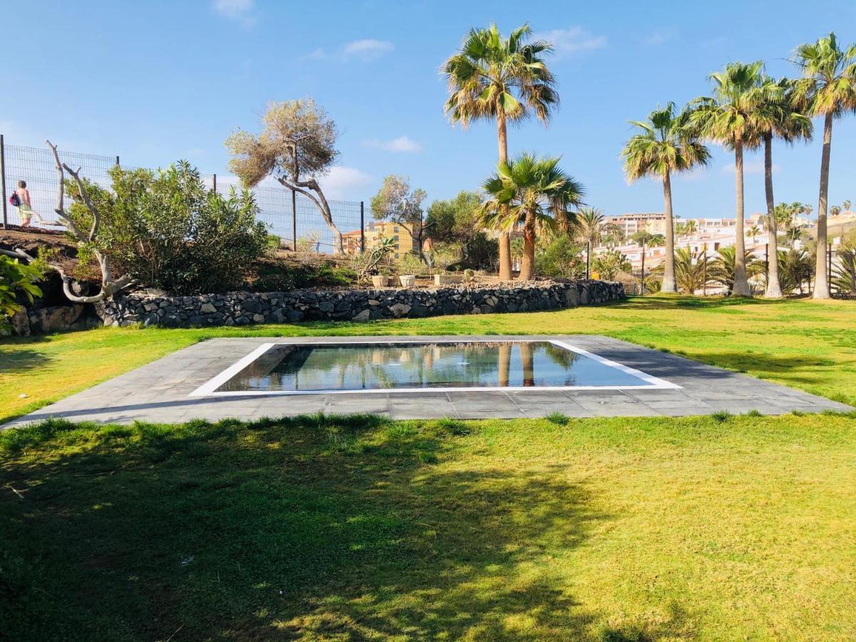 Cactus Apartment San Miguel de Abona Eksteriør billede